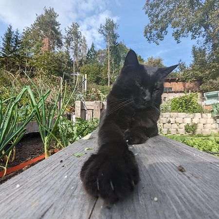 Die Labsalerie - Urlauben Am Woerthersee Pörtschach am Wörthersee Dış mekan fotoğraf