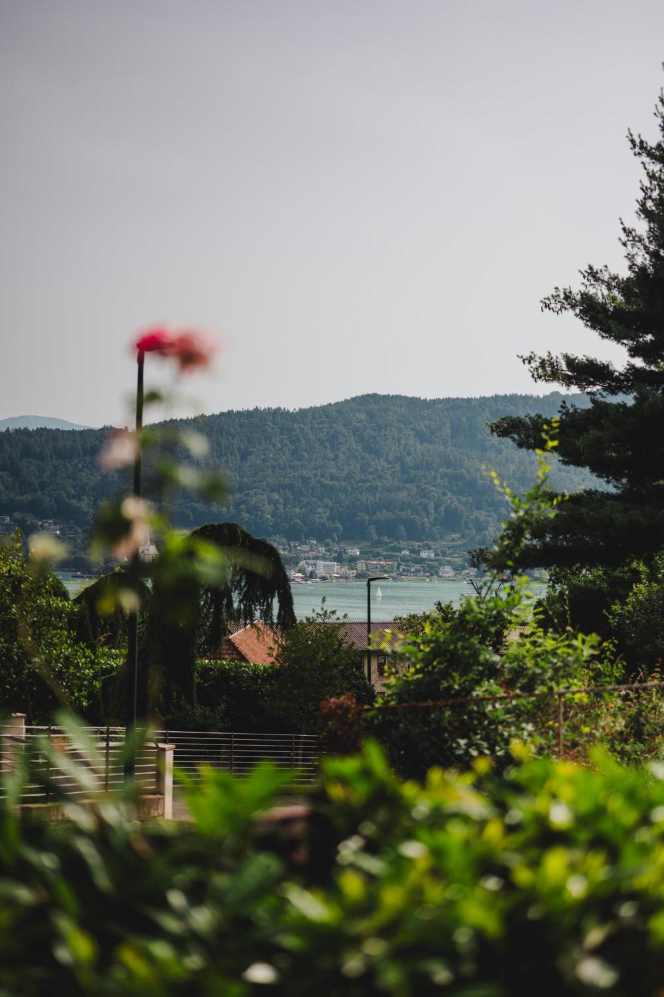 Die Labsalerie - Urlauben Am Woerthersee Pörtschach am Wörthersee Dış mekan fotoğraf